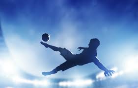 bsport体育官网 室内健身机介绍